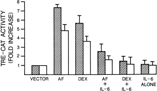 Fig. 8. Dexamethasone and anti-fas induce and IL-6 inhibits TRE-CAT activity. 8226 cells (▨) or UCLA #1 cells (□) were transfected with the AP-1–dependent transcriptional reporter 3× TRE-CAT and treated with anti-fas (0.5 μg/mL), dexamethasone (10−6 mol/L), IL-6 alone (1,000 U/mL), or the combinations of dexamethasone + IL-6 or anti-fas + IL-6. Treatments were for 60 minutes and cells were lysed after 24 hours; CAT activity was measured with (14C) chloramphenicol as substrate. Data represent means ± SE of three independent trasnfections and are expressed as fold increase in activity compared with control cells that received the TRE-CAT vector but no drug treatment.