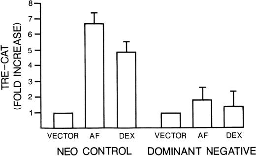 Fig. 9. Mutant c-jun–containing 8226 cells have a blunted TRE-CAT response to anti-fas and dexamethasone.Neo control or dominant negative c-jun–transduced 8226 cells were transfected with TRE-CAT and treated without or with anti-fas (0.5 μg/mL) or dexamethasone (10−6mol/L) for 10 minutes. TRE-CAT activity is mean ± SE of three separate experiments.
