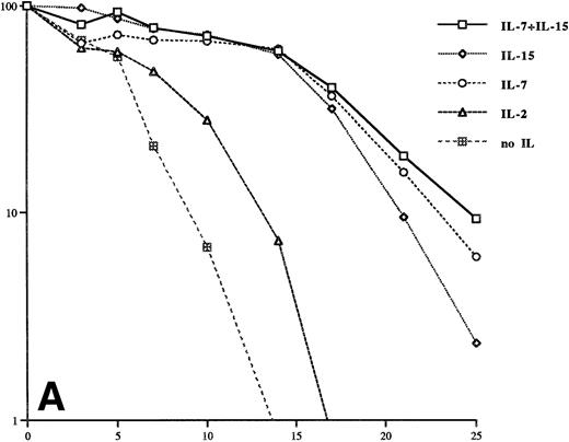 Fig. 2. IL-7 and IL-15 prolong the survival of patient Sézary cells in vitro. The IL concentrations are the same as in Fig 1. The cells of patient 1 (A) were kept at these concentrations for the whole time of the experiment. The transient increase of the number of cells from patient 2 (B) on day 13 is caused by an increase of the concentrations of IL-7 and IL-15 to 20 ng/mL and 40 ng/mL, respectively. The data were obtained from three independent experiments.