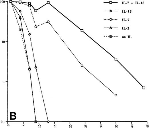 Fig. 2. IL-7 and IL-15 prolong the survival of patient Sézary cells in vitro. The IL concentrations are the same as in Fig 1. The cells of patient 1 (A) were kept at these concentrations for the whole time of the experiment. The transient increase of the number of cells from patient 2 (B) on day 13 is caused by an increase of the concentrations of IL-7 and IL-15 to 20 ng/mL and 40 ng/mL, respectively. The data were obtained from three independent experiments.