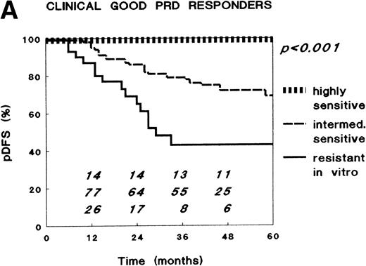 Fig. 2. Relationship between in vitro PRD resistance (cut-off values for sensitivity and resistance 0.1 and 150 μg/mL, respectively) and long-term clinical outcome after combination chemotherapy in childhood ALL, within (A) the total group of clinical good PRD responders (15 highly sensitive, 79 intermediately sensitive, and 30 resistant to PRD in vitro), and (B) the group of clinical poor PRD responders (none highly sensitive, six intermediately sensitive, and six resistant to PRD in vitro). The numbers in the figures along the x-axis indicate the patients at risk for a relapse at the different time points.