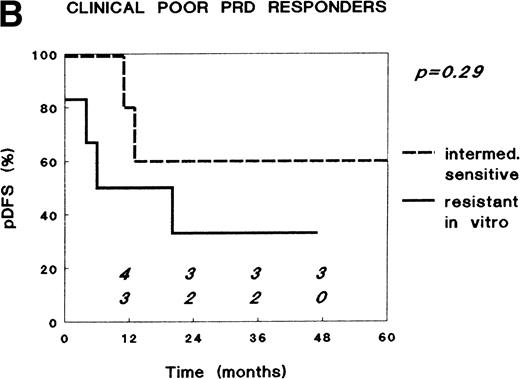 Fig. 2. Relationship between in vitro PRD resistance (cut-off values for sensitivity and resistance 0.1 and 150 μg/mL, respectively) and long-term clinical outcome after combination chemotherapy in childhood ALL, within (A) the total group of clinical good PRD responders (15 highly sensitive, 79 intermediately sensitive, and 30 resistant to PRD in vitro), and (B) the group of clinical poor PRD responders (none highly sensitive, six intermediately sensitive, and six resistant to PRD in vitro). The numbers in the figures along the x-axis indicate the patients at risk for a relapse at the different time points.
