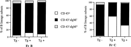 Fig. 2. Differentiation patterns of sorted early (Fr B) and late (Fr C) pro–B cells from 4-week-old Eμ-ret (Tg+) and transgene-negative (Tg−) mice. A total of 2 to 4 × 104 cells were cultured in IL-7 (100 U/mL) for 4 days and analyzed by flow cytometry for cell surface expression of CD43 and IgM. Mean percentages are given for duplicate cultures. Cells retaining CD43 expression correspond phenotypically to either the pro–B-cell or early pre–B-cell stage, whereas the cells losing CD43 expression correspond to the late pre–B (sIgM−) or B-cell stage (sIgM+). Fr C late pro–B cells from Eμ-ret mice retain a higher percentage of cells with CD43 expression.