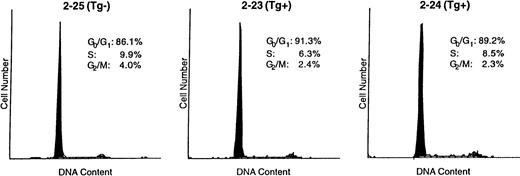 Fig. 5. Cell cycle parameters in sorted late (Fr C) pro–B cells from 4-week-old Eμ-ret (Tg+) and transgene-negative (Tg−) mice. A total of 3 to 5 × 103 Fr C cells were directly sorted into 80% ethanol and subsequently stained with propidium iodide for analysis of DNA content by flow cytometry.