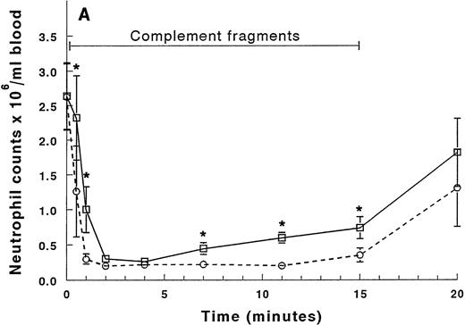 Fig. 1. Circulating neutrophil counts in the arterial and venous blood during and after infusion of complement fragments. The counts between 0 and 20 minutes are shown in (A), and (B) shows the counts for the entire 2-hour duration of the experiment. The venous counts (□) decreased more slowly than the arterial counts (○) in the first 2 minutes of the infusion. Both arterial and venous counts were decreased at 2 to 4 minutes. The neutrophil counts in the arterial blood samples remained low throughout the entire infusion. However, the counts in the venous samples began to increase by 7 minutes, and continued to rise throughout the infusion. After the infusion was stopped, neutrophil counts in both arterial and venous blood increased similarly, reaching peak values that were twofold to threefold above baseline values by 45 minutes (30 minutes after the infusion was stopped). The counts returned to baseline values by 90 minutes. *Significantly greater than the neutrophil counts in the arterial blood, P < .05.