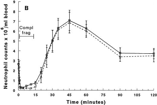 Fig. 1. Circulating neutrophil counts in the arterial and venous blood during and after infusion of complement fragments. The counts between 0 and 20 minutes are shown in (A), and (B) shows the counts for the entire 2-hour duration of the experiment. The venous counts (□) decreased more slowly than the arterial counts (○) in the first 2 minutes of the infusion. Both arterial and venous counts were decreased at 2 to 4 minutes. The neutrophil counts in the arterial blood samples remained low throughout the entire infusion. However, the counts in the venous samples began to increase by 7 minutes, and continued to rise throughout the infusion. After the infusion was stopped, neutrophil counts in both arterial and venous blood increased similarly, reaching peak values that were twofold to threefold above baseline values by 45 minutes (30 minutes after the infusion was stopped). The counts returned to baseline values by 90 minutes. *Significantly greater than the neutrophil counts in the arterial blood, P < .05.