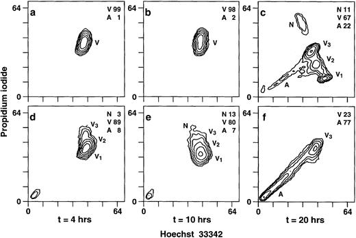 Fig. 5. EBV induces apoptosis in human neutrophils. Cells were cultured in the presence or absence of EBV and were obtained at 4, 10, and 20 hours posttreatment for DNA staining as described in Materials and Methods. Uptake of dyes was evaluated by flow cytometry. (a through c) Unstimulated cells cultured for 4, 10, and 20 hours, respectively. (d through f) EBV-treated neutrophils cultured for 4, 10, and 20 hours, respectively. N, necrotic cells; V, viable cells; V1, V2, V3, three smaller groups of viable cells, from the more viable to the less viable cells, respectively; A, apoptotic cells. Numbers indicate the percentage of positive cells. The results displayed in each histogram are representative of seven experiments. After 20 hours of culture, the percentages of apoptotic cells in controls and in EBV-treated cells are 26% ± 8% and 68% ± 14% (n = 7), respectively. Values are significantly different atP < .05.