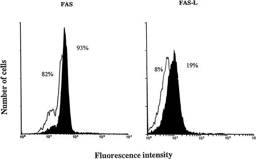 Fig. 7. Cell-surface expression of Fas/Fas L on EBV-infected neutrophils. Immunofluorescence flow cytometry was performed on unstimulated neutrophils (white surface) and on EBV-infected neutrophils (black surface) after 20 hours of culture. Analyses were performed on 10,000 cells per sample and data are representative of four independent expriments. The averages for the controls are: Fas, 84 ± 8; Fas L, 6 ± 3; and for EBV-treated cells: Fas, 93 ± 4; Fas L, 15 ± 5.