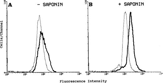 Fig. 1. FACS analysis of human CR1 in intact versus permeabilized RBL-CR1 cells. Cells were fixed in periodate/lysine/paraformaldehyde with (B) and without (A) permeabilization with saponin. Cells were then stained with anti-CR1 monoclonal antibody 3D9 or control antibody MOPC 21; followed by FITC-conjugated antimouse antibody. A total of 10,000 cells from each preparation was analyzed. Mean fluorescence values are: (A) background (gray line) 66; CR1 (black line) 99. (B) Background (gray line) 109; CR1 (black line) 232.