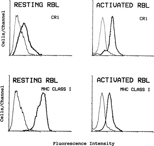 Fig. 4. Flow cytometric analysis of CR1 and MHC class I on resting and activated RBL-CR1 shows that the increased cell surface expression of CR1 on activated cells coincides with decreased expression of MHC class I. Cells were either incubated in HBSS/g (resting) or in HBBS/g containing 1 μmol/L A23187 and 1.2 mmol/L CaCl2 (activated) for 1 hour at 37°C. Cells were stained using anti-MHC class I, W6/32 (lower panels), or anti-CR1, 3D9 (upper panels) as described, and analyzed by FACS analysis. Light lines are for isotype-matched control as first antibody.