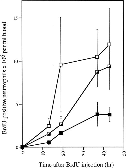 Fig. 6. In vivo BrdU incorporation in blood neutrophils of G-CSF–treated mice. Mice (n = 3 for each genotype) were injected daily with G-CSF. After 4 days, 150 μL of BrdU (10 μg/mL in PBS) was injected intraperitoneally and blood was collected and analyzed at various times. Smears were made for May-Grünwald Giemsa and BrdU staining. Error bars represent standard deviation. gcsfr-wt/wt, (▪); gcsfr-wt/▵715, (┌); gcsfr-▵715/▵715, (□).