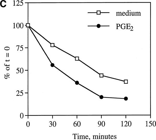 Fig. 1. Effect of PGE2 and dBcAMP on CCR5 mRNA expression. (A) Human monocytes were incubated for 4 hours with graded concentrations of PGE2 or dBcAMP and total RNA was extracted, separated, and analyzed by Northern blotting for CCR5 mRNA expression. (B) Kinetics of PGE2 downregulation of CCR5 gene expression. Cells were incubated in the absence or presence of PGE2 10−5 mol/L for the indicated time periods followed by Northern blot analysis of CCR5 mRNA expression. (C) Effect of PGE2 on CCR5 mRNA stability. Monocytes were incubated 1 hour with medium or PGE2 10−5mol/L before mRNA synthesis was stopped by the addition of actinomycin D (5 μg/mL). At the indicated times thereafter, total RNA was prepared and analyzed by Northern blot. The figure illustrates the autoradiogram of one representative experiment with percentages of remaining CCR5 mRNA relative to the values at time 0, corrected for corresponding GAPDH values. n = 2 to 4 independent experiments.