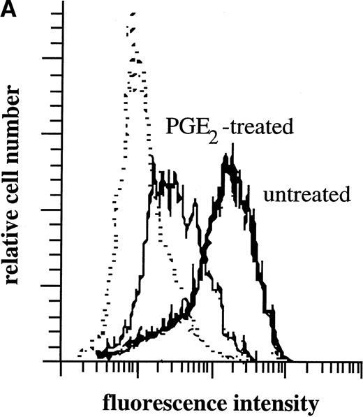 Fig. 3. CCR5 protein expression on monocytes. (A) Flow cytometry analysis: Monocytes were incubated for 48 hours with medium or PGE2 (10−5 mol/L) before labeling either with FITC-conjugated goat anti-mouse antibody alone (dotted line) or with anti-CCR5 (2D7) antibody followed by FITC-conjugated goat anti-mouse antibody (untreated cells: thick line; PGE2-treated cells: thin line). Representative experiment of eight independent experiments. (B) Laser confocal microscopy: Monocytes were incubated for 48 hours with medium (left) or PGE2 (10−5 mol/L) (middle) before permeabilization and labeling with anti-CCR5 (2D7) antibody followed by rhodamine-conjugated goat anti-mouse antibody. For comparison, monocytes incubated with medium for 48 hours were stimulated with MIP-1β (100 ng/mL) for 30 minutes before labeling, to illustrate CCR5 internalization (right).