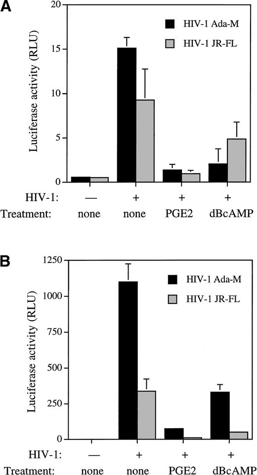 Fig. 5. Susceptibility of cells to infection by M-tropic HIV-1 isolates. Recombinant luciferase-encoding HIV-1 particles pseudotyped with Ada-M and JR-FL Env proteins were used to infect monocyte-derived macrophages (A) or Mono-Mac-1 cells (B) after a 48-hour pretreatment with PGE2 (10−5 mol/L) or dBcAMP (10−4 mol/L). Luciferase activity was quantitated 96 hours after initiation of virus infection.