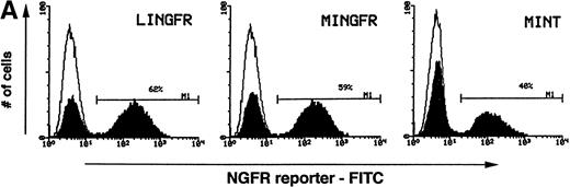 Fig. 2. FACS analysis of NGFR expression in retrovirally transduced TF1 cells. (A) Histograms of TF1 cells expressing the NGFR transgene after transduction with the LINGFR, MINGFR, or MINT vectors. TF1 cells were transduced with equal volumes of amphotropic viral supernatants for 4 hours (as described in Materials and Methods) and NGFR expression was analyzed by FACS 4 days later after staining for cell-surface NGFR with a FITC-conjugated anti-NGFR antibody. The profile of nontransduced TF1 cells (thin lines representing 0.5%) was overlaid to highlight transduced cell NGFR+ populations. Approximately 62%, 59%, and 40% of TF1 cells were transduced with the LINGFR, MINGFR, and MINT vectors, respectively. (B) Kinetics of NGFR expression in TF1 cells after transduction with the MINT vector. After 4-hour exposure to MINT vector supernatant, TF1 cells were either processed immediately (day 0) or cultured for 1, 2, 3, or 4 days and then stained for NGFR expression. Based on FACS histograms as shown in (A), the percentages of NGFR-expressing cells and relative levels of NGFR expression in transduced cells were plotted as a function of time in culture. The relative intensity of NGFR expression is defined by increased mean fluorescence intensity (MFI) normalized by the MFI of nontransduced cells.