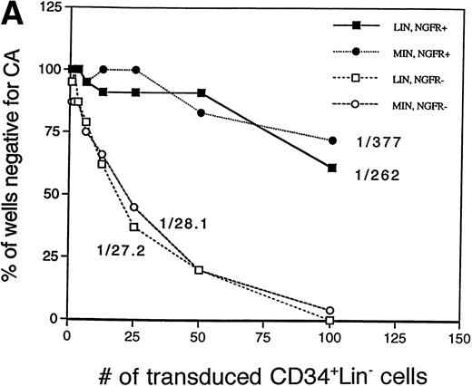 Fig. 5. Maintenance of NGFR transgene expression in CAFC progeny. (A) Sorted NGFR-expressing, CD34+Lin− cells transduced with either the LINGFR (LIN, NGFR+) or MINGFR (MIN, GFR+) vectors, or the sorted CD34+Lin− cells lacking NGFR expression at day 2 posttransduction with LINGFR (LIN, NGFR−) or MINGFR (MIN, NGFR−) vectors (see Fig 3) were plated on SyS-1 stromal cell monolayers. Two-fold serial dilution of 100 CD34+Lin− input cells were seeded per well and examined for cobblestone area (CA) formation weekly up to 6 weeks. The number of wells lacking any CA at week 5 were plotted as a function of numbers of sorted cells, respectively. The frequencies of CAFC were estimated based on Poisson distribution and the results are indicated. (B) NGFR transgene expression in B cells formed at week 6 of CAFC assays. CD19+ B cells (in addition to CD14+and CD15+ myeloid cells) were generated from sorted CD34+Lin−NGFR+ cells in the presence of SyS-1 stromal cells as shown by the presence of the CD19 marker. Among CD19+ B cells, approximately 14% and 50% of the progeny cells derived from LINGFR-transduced (LINGFR+) and MINGFR-transduced (MINGFR+) CD34+Lin−NGFR+ cells, respectively, expressed the NGFR transgene at the end of CAFC assays.