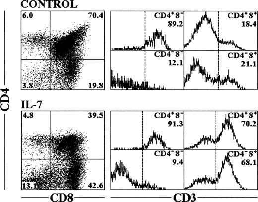 Fig. 1. Phenotypic analysis of cells recovered from FTOC treated with IL-7. Cells were recovered from fetal thymic lobes after 12 days of culture, and triple-labeled for flow cytometry analysis as described in Materials and Methods. CD4 versus CD8 expression is represented in the dot plots with percentages of cells included in the corner of each quadrant. The cells within each quadrant were also examined for expression of CD3. The percentages in the corner of each histogram represent the proportion of cells expressing high levels of CD3. The profiles shown are representative of six independent experiments.