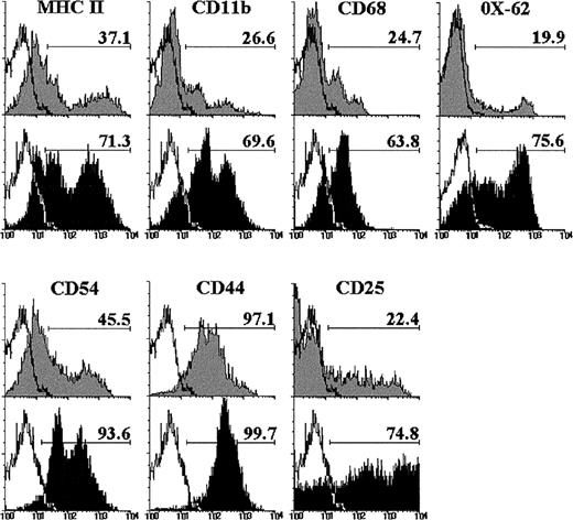 Fig. 2. Phenotype of CD4−CD8− cells raised after 12 days of culture in the absence (gray histograms) or presence of IL-7 (black histograms). These CD4−CD8− cells were determined by gating on negative fluorescence of thymic cells stained with PE-conjugated anti-CD4 and anti-CD8. A minimum of 5,000 cells was analyzed for the expression of MHC class II, CD11b, CD68, OX-62, CD54, CD44, and CD25. Black lines represent the background fluorescence using isotype-matched irrelevant FITC-conjugated MoAb, or omitting the particular MoAb under study. The results are representative of a series of three independent experiments.