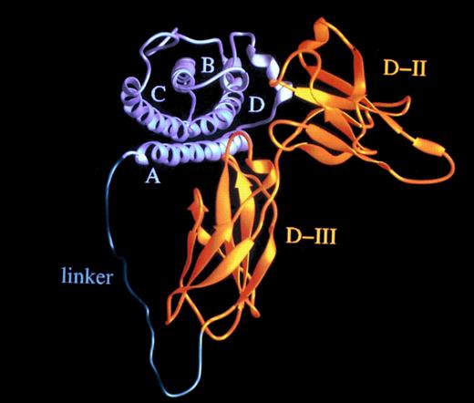 Fig. 7. Hyper-IL-6: a highly active designer cytokine consisting of IL-6 and soluble IL-6R. Molecular model of the fusion protein consisting of IL-6 (gray) and sIL-6R (yellow) fused by a flexible peptide linker (green). A, B, C, and D denote the four helices of IL-6; D-II and D-III are the two cytokine-binding receptor domains of the sIL-6R used for the construction of the fusion protein.