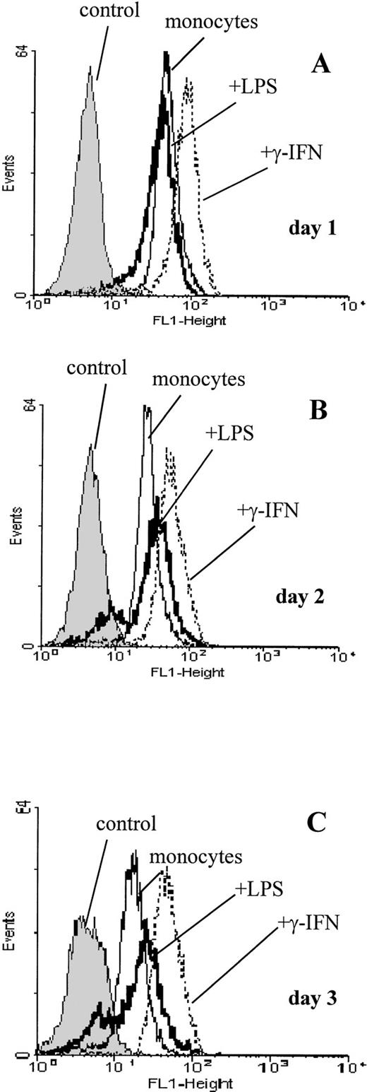 Fig. 2. Detection of P2X7 receptors by flow cytometry on human blood-derived monocytes cultured for (A) 1 day, (B) 2 days, or (C) 3 days in complete RPMI medium (monocytes) or with the addition of LPS (10 μg/mL) or γ-IFN (10 ng/mL). Antibodies were used as in Fig 1, with the control showing incubation of monocytes with an IgG2b isotype control. Monocytes were derived from PBMC by rosetting and FACS using forward and side scatter.