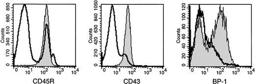 Fig. 4. Flow cytometry analysis of an Eμ-ret (Tg+) early pro-B cell culture. Early pro-B cells from the day-17 fetal liver of an Eμ-ret mouse were sorted and cultured for 17 days in standard media with IL-7 (100 U/mL). The shaded histogram represents the Tg+ culture, whereas the bold outline represents a bone marrow control. In the left histogram, the bone marrow control was resolved into CD45R− and CD45R+ (B-lineage) populations. In the middle histogram, the bone marrow CD45R+ B-lineage cells were gated and resolved into a CD43− (late pre-B and B cell) and a CD43+ (pro and early pre-B) population. In the right histogram, the bone marrow CD45R+CD43+ B-lineage cells were gated and resolved into a BP-1− (early pro-B) and BP-1+ (late pro-B and early pre-B) population.