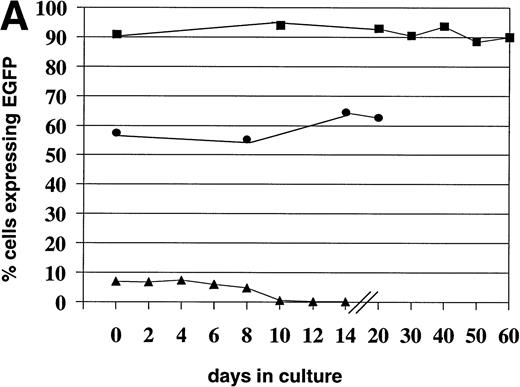 Fig. 2. Stability of EGFP expression in leukemia cells in culture. Stability of EGFP expression in leukemia cells in culture after transfection with the expression plasmid (▴) VR-EGFP and transduction by the retroviral vector (▪) L-EGFP-SN and the lentiviral vector (•) pHR′-CMV-EGFP. The transfected cells and the lentiviral-transduced cells were not FACS sorted before culture, but the retroviral-transduced cells were. Day 0 is 48 hours after transfection or transduction. (A) Nalm-6 cells; (B) Reh cells.