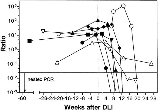 Fig. 5. Time course plot of GVL response of all patients included in this study. Quantitative RT-PCR data are given as the bcr-abl ratio. Connecting lines crossing the X-axis indicate a PCR-negative follow-up sample. (⧫) Patient no. 1; (○) patient no. 2; (▴) patient no. 3; (▵) patient no. 4; (•) patient no. 5; (▾) patient no. 6; (▪) patient no. 7; (▿) patient no. 8.