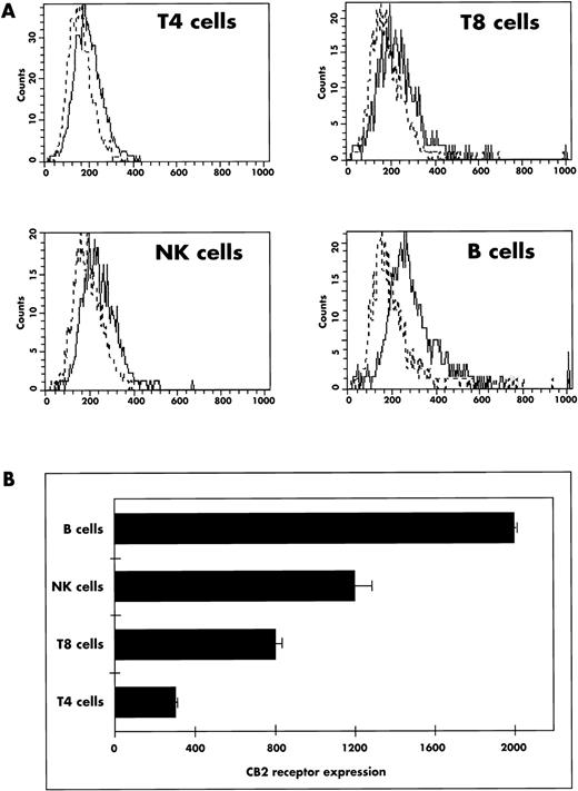 Fig. 3. Expression of CB2 receptors in peripheral blood mononuclear cells. (A) Mononuclear leukocytes were isolated and labeled for flow cytometric analysis as reported in Materials and Methods. Each staining profile for CB2 receptor expression (solid line) was overlayed with the negative control (dotted line) performed by preincubating anti-CB2 receptor Abs with the C-terminal synthetic peptide. The four staining profiles were obtained after positionning a region of interest on cells expressing CD3+ CD4+ (T4 cells), CD8+ CD3+ (T8 cells), CD56+ (NK cells), or CD20+ (B cells). The histograms shown are all from one donor and are representative of three different donors. (B) Mean ± SD of CB2 receptor fluorescence intensities in peripheral blood leukocyte subsets from three different donors analyzed by flow cytometry as described in (A). For each leukocyte subset, the fluorescence intensity reported on the abcissa was calculated in arbitrary units by subtracting the irrelevant control (anti-CB2 receptor Abs + specific peptide) from the anti-CB2 receptor Ab labeling.