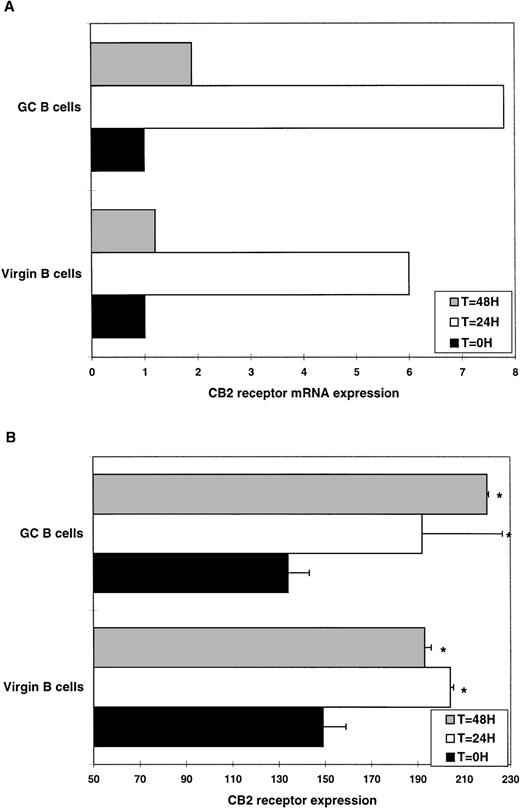 Fig. 8. Regulation of CB2 receptor expression during CD40-mediated activation. Virgin and GC B-cell subsets were triggered by CD40 ligation in the presence of CD32+-L cells. Expression of CB2 receptors were quantitated at 24 and 48 hours by RT-PCR (A) and flow cytometry (B) as described in Figs 3 and 5. Data are representative of two different experiments performed from two different donors. *P ≤ .05.