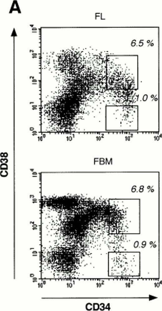 Fig. 3. Expression of hematopoiesis-regulating factors by HSCs sorted from 12- to 29-week fetal liver (FL) and bone marrow (FBM). (A) CD34/CD38 two-color stainings of mononucleated cells from 12-week FL and 20-week FBM. The percentages of cells that fall within each of the sorting gates are indicated. The purity of recovered populations was ascertained by PCR-amplification of CD38 cDNA, as shown in (B). (B) Semiquantitative RT-PCR analysis of hematopoiesis-specific genes in the selected CD34+CD38+ and CD34+CD38− cell subsets. Each track is representative of at least four experiments performed on subpopulations sorted from different organs of various stages (see Materials and Methods). Negative control with no cDNA added was included in each PCR experiment and the product size was checked by running molecular weight markers. The amplified products were transferred to nylon membranes and hybridized with internal specific 32P-labeled cDNA probes. Autoradiography was prolonged for 18 hours for flk-1/KDR PCR products but did not exceed 2 hours for the other gene products. Signals obtained for β-actin amplification were used as reference to normalize quantitative differences between cDNA samples.