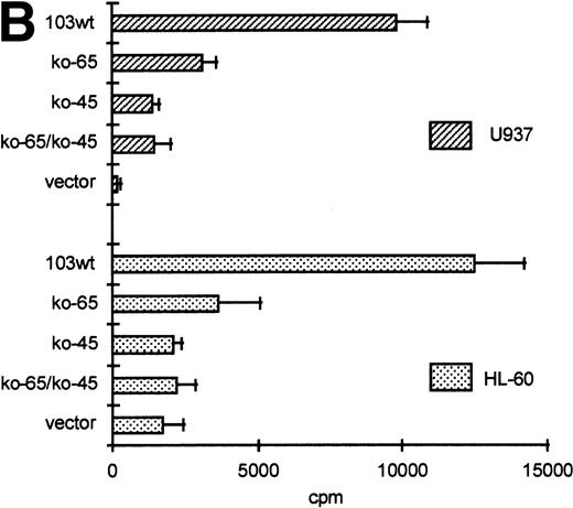 Fig. 5. GGAA binding proteins regulate βc chain promoter activity. (A) Cotransfection of Ets family members cEts-1, PU.1, and GABP enhances promoter activity in fibroblasts. COS-1 cells were transfected with 2 μg of promoter and 6 μg of Ets expression vector or pSG5 (negative control). Promoter activity of the constructs −2100/+600 and −226/+33 is enhanced 8 to 10 times, whereas construct −103/+33 is activated only 3 times, probably due to the high basal activity of −103/+33 in COS cells. (□) pSG5; (▨) cEts; (▪) PU.1; (▧) GABP+β. (B) Ets-binding sites −65 and −45 are crucial for promoter activity. Both binding sites were mutated in the −103/+33 construct and tested for promoter activity. Both single mutations and the double mutation show a clear decrease in promoter function in both U937 and HL-60 cells. Values are the mean of at least four independent experiments; the error bars indicate the standard deviation. LacZ determination was used to correct for transfection efficiency. (C) Point mutations in Ets-binding sites −65 and −45 prevent binding of several protein complexes. The −103/+33 fragments were used in a band shift assay, using 10 μg of nuclear extract HL-60 cells. When site −65 is mutated, complexes C2 and C3 are no longer observed (lanes 2 and 4), whereas binding of C1 is also decreased. Mutation of site −45 prevents complex C4 from binding (lanes 3 and 4). Similar results were obtained when using U937 cells (data not shown).
