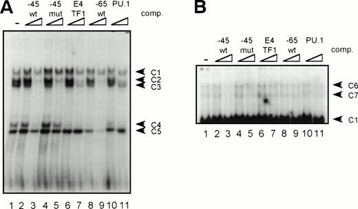 Fig. 7. GGAA-element −45 binds an unidentified protein. (A) An oligonucleotide encompassing the Ets-binding site −45 was used in a band shift assay with nuclear extracts of HL-60 cells. Five complexes (C1 through C5) bound to −45 (lane 1), of which C2, C3, and C4 could be competed with excess of self oligo (lanes 2 and 3). Complexes C1 and C5 were nonspecific, because these complexes could not be competed. Moreover, C2 and C3 were also nonspecific, because they could be competed with mutant oligo (lanes 4 and 5). With supershift analysis it was shown that C4 contains PU.1 (not shown), explaining why binding of C4 was blocked by the addition of −45, E4TF1, −65, and PU.1 oligonucleotides. Similar results were obtained when using U937 cells (data not shown). (B) Longer exposure of the gel shown in (A). Binding of two complexes with low mobility (C6 and C7) was detected. Binding of these complexes could be inhibited with excess of self oligo only, showing the binding specificity of these complexes. These complexes could not be supershifted with antibodies against Ets-1, Ets-2, Fli-1, PU.1, and GABP. Similar results were obtained when using U937 cells (data not shown).
