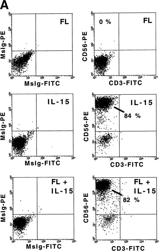 Fig. 1. FL enhances IL-15–mediated development of CD56+ CD3− NK cells from CD34+ HPCs in vitro. (A) Flow cytometric analysis of CD56 and CD3 expression on MNCs generated in 21-day cultures of CD34+ HPCs under the indicated conditions (right column). Nonreactive MsIg isotype control MoAb were used to determine background fluorescence (left column). Results displayed are representative of 10 separate experiments. (B) Fold increase in the absolute number of MNCs after 21 days of culture of CD34+ HPCs in the indicated conditions. (C) The absolute number of CD56+CD3− cells after a 21-day culture of CD34+ HPCs in the indicated conditions. These values were calculated by multiplying the absolute number of viable MNCs by the percentage of cells that were CD56+CD3− by flow cytometric analysis. Results shown in (B) and (C) represent the mean ± SEM of five separate experiments. The asterisk indicates a value of P ≤ .025 compared with IL-15 alone.