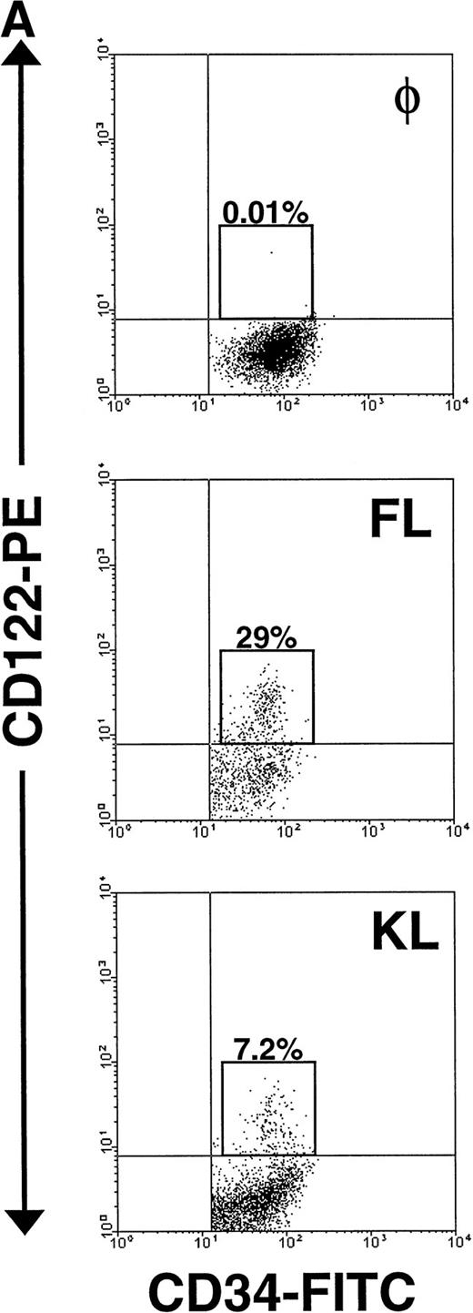 Fig. 4. Expression of CD122 (IL-2/15Rβ) protein and IL-15R mRNA on CD34+ HPCs after culture in FL or KL. (A) Flow cytometric analysis of CD122 on freshly isolated CD34+HPCs (day 0) or CD34+ HPCs cultured in FL or KL for 10 days. The percentage of CD34+CD122+ cells (gated population) is indicated for each condition. (B) RT-PCR for IL-15R mRNA transcript expression. CD34+ HPCs from 2 donors were examined for IL-15R on day 0 (lanes 1 and 4), day-10 culture in KL (lanes 2 and 5), day-10 culture in FL (lanes 3 and 6), and 10-day culture in FL followed by culture in IL-15 for 14 days (lane 7). Lane 8 was H2O control. RT-PCR analysis was performed as described in Materials and Methods.