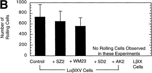 Fig. 3. Effect of MoAbs on LβIXV cell rolling. Before introduction into the parallel plate flow chamber, LβIXV cells were incubated with one of four MoAbs: SZ2 (anti-GP Ib), WM23 (anti-GP Ib), 5D2 (anti-vWF), or AK2 (anti-GP Ib). The mean velocity (A) was calculated on a digital image processing system using 1-second maximization images. The number of rolling cells (B) was determined by counting the total number of cells rolling on the vWF surface in a single field of view over a 4-minute flow period. During experimental runs, the entire system was maintained at 37°C. Dulbecco’s PBS was pumped through the chamber at a constant flow rate, producing a constant shear stress of 10 dyn/cm2. Values are the mean ± SEM, n = 3.