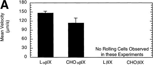 Fig. 5. Comparison of L and CHO cell lines. The mean velocity (A) and the total number (B) of rolling LβIX and CHOβIX cells were determined at a wall shear stress of 10 dyn/cm2. Values are the mean ± SEM, n = 4 to 7.