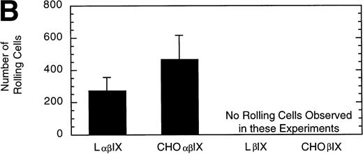 Fig. 5. Comparison of L and CHO cell lines. The mean velocity (A) and the total number (B) of rolling LβIX and CHOβIX cells were determined at a wall shear stress of 10 dyn/cm2. Values are the mean ± SEM, n = 4 to 7.