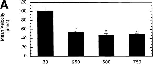 Fig. 7. Influence of vWF surface density on LβIXV cell rolling. Mean velocity (A) and the total number (B) of rolling cells were determined on surfaces prepared using solutions with vWF concentrations ranging from 30% to 750% of normal plasma concentration. Values are the mean ± SEM, n = 4 to 8. *Statistically significant from 30% surface, P < .05.
