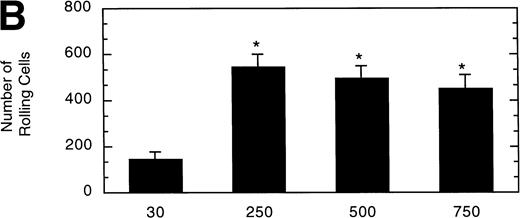Fig. 7. Influence of vWF surface density on LβIXV cell rolling. Mean velocity (A) and the total number (B) of rolling cells were determined on surfaces prepared using solutions with vWF concentrations ranging from 30% to 750% of normal plasma concentration. Values are the mean ± SEM, n = 4 to 8. *Statistically significant from 30% surface, P < .05.
