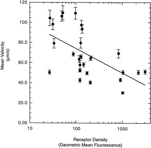 Fig. 8. Effect of receptor density on LβIXV cell rolling. The mean velocities were calculated based on an average of 30 to 50 cells from an experimental run. Each datapoint represents a single experimental run. Values are the mean ± SEM.