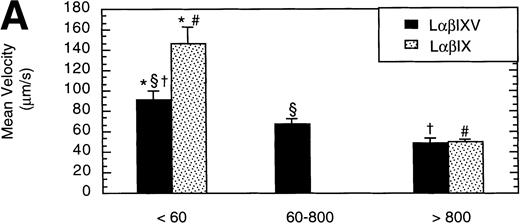 Fig. 9. Effect of receptor density and role of the GP V subunit. Mean velocity (A) and the total number (B) of rolling LβIXV and LβIX cells with different receptor densities were determined at a wall shear stress of 10 dyn/cm2. Values are the mean ± SEM, n = 6 to 14. *, §, †, #Differences between means are statistically significant, P < .05.