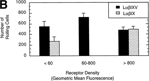 Fig. 9. Effect of receptor density and role of the GP V subunit. Mean velocity (A) and the total number (B) of rolling LβIXV and LβIX cells with different receptor densities were determined at a wall shear stress of 10 dyn/cm2. Values are the mean ± SEM, n = 6 to 14. *, §, †, #Differences between means are statistically significant, P < .05.