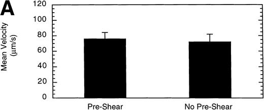 Fig. 11. Effect of preshearing vWF. The mean velocity (A) and the total number (B) of rolling LβIXV cells were determined at a wall shear stress of 10 dyn/cm2. In preshear experiments, before cells were introduced into the chamber, vWF immobilized on the glass coverslip was exposed to a shear stress of 40 dyn/cm2 for 5 minutes by perfusing Dulbecco’s PBS through the chamber. Values are the mean ± SEM, n = 4 to 7.