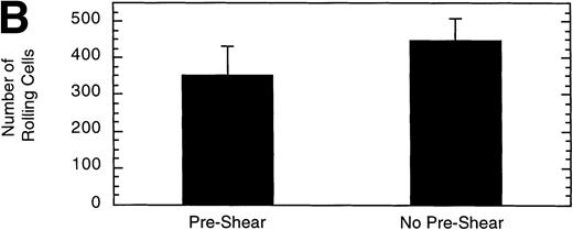 Fig. 11. Effect of preshearing vWF. The mean velocity (A) and the total number (B) of rolling LβIXV cells were determined at a wall shear stress of 10 dyn/cm2. In preshear experiments, before cells were introduced into the chamber, vWF immobilized on the glass coverslip was exposed to a shear stress of 40 dyn/cm2 for 5 minutes by perfusing Dulbecco’s PBS through the chamber. Values are the mean ± SEM, n = 4 to 7.