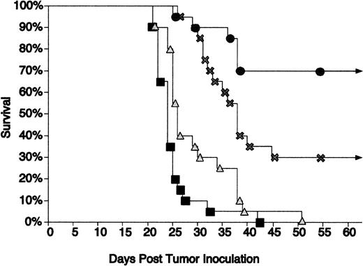 Fig. 5. CpG ODN enhances the protective effect of Id/GM-CSF. Mice were immunized with a single injection of Id/GM-CSF and/or CpG ODN and challenged with tumor 3 days later. Survival was followed for 100 days. All mice that were alive after 51 days remained tumor-free for the entire observation period. Twenty mice were included in each group. (▪) No immunization; (▴) CpG ODN; (×) Id/GM-CSF; (•) Id/GM-CSF + CpG ODN.