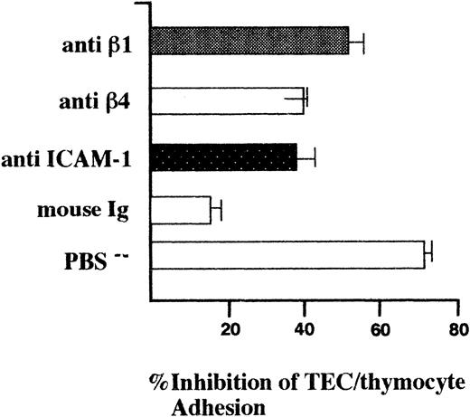 Fig. 3. Inhibition of TEC-thymocyte binding by MoAbs anti-β1 and anti-β4 integrins. Binding assays were performed between TEC monolayers plated and grown to tight confluence and PKH26-GL dye-labeled thymocytes (1:5 TEC/thymocyte ratio) for 1 hour at 37°C in humidified atmosphere of 5% CO2. Purified antibodies were separately incubated with TEC and thymocytes for 30 minutes before binding at 5 μg/mL and maintained during the test. PBS−indicates assays performed in PBS Ca2+Mg2+-free. Nonadherent thymocytes were removed by gentle washings. TEC and bound thymocytes were detached by trypsin-EDTA, washed, vortexed to disrupt aggregates, and counted by flow cytometry. Results were expressed as the ratio of TEC:thymocytes recovered and as a percentage of the ratio of the untreated controls. Shown are the mean values ± SD of four independent experiments performed with TEC and thymocytes obtained from different donors.