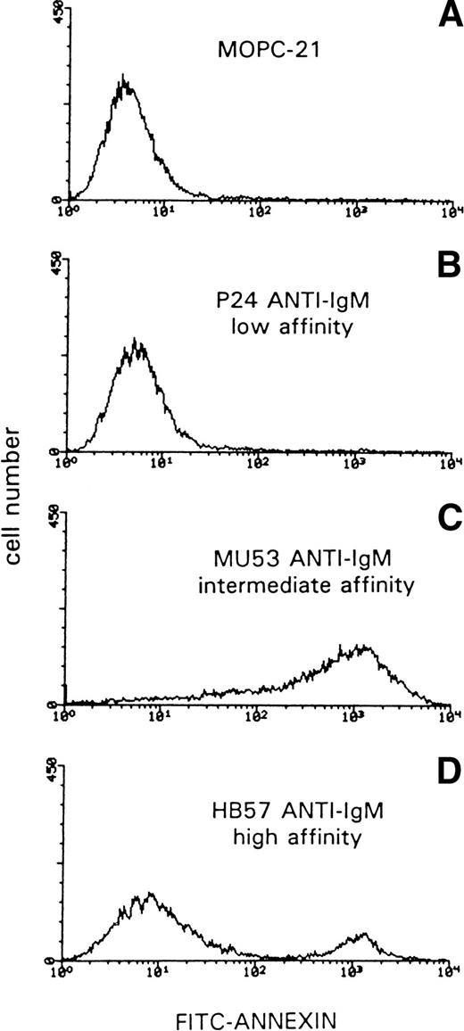 Fig. 1. Murine MoAb with diverse affinities for human mIgM (Cμ2) differ in capacity to induce apoptosis in Ramos B cells. Cells were incubated with MoAb HB57, MoAb Mu53, MoAb P24, or isotype control MOPC-21 (MoAb concentration of 10 μg/mL; MoAb:cell ratio = 2 μg/105 cells) for 42 hours before staining with FITC-annexin V and flow cytometric analysis. Apoptotic cells are indicated as those brightly positive for FITC-annexin V (see Materials and Methods). The intrinsic Fab′ binding affinities (Ka) of MoAbs HB57, Mu53, and P24 for B-cell mIgM are 5 × 108, 2 × 107, and approximately 2 × 106 mol/L−1, respectively.30 When the gate for annexin-positivity in the above experiment was set at a FITC-annexin intensity of 25 (horizontal log scale), Ramos cells incubated with isotype control MOPC or anti-IgM MoAbs P24, Mu53, and HB57 exhibited 4%, 4%, 90%, and 22% annexin-positive cells, respectively. Results similar to those above have been obtained in 12 replicate experiments. The difference between the percentage of annexin-positive cells in HB57 versus Mu53-treated cultures in the 12 replicate experiments was highly significant (mean ± SD of 38.2 ± 12.2 and 80.0 ± 10.3, respectively; P < .0001). Furthermore, the differences in the percentage of annexin-positive cells in HB57- or Mu53-treated cultures as compared with MOPC-treated control cultures (16.1 ± 8.8) were also both highly significant (P < .001).