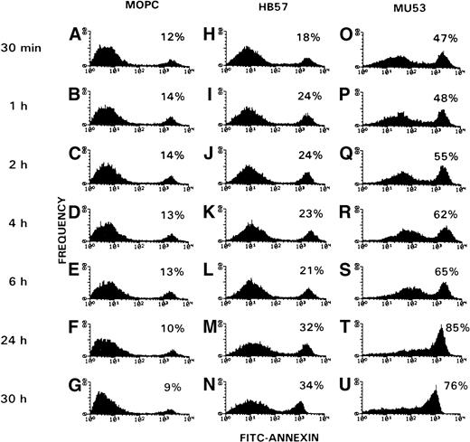 Fig. 2. Kinetics of anti-IgM–induced apoptosis in Ramos B cells. Cells were incubated for the varying time intervals in the presence of isotype control MOPC-21 (A through G), HB57 anti-IgM (H through N), or Mu53 anti-IgM (O through U) (10 μg/mL; MoAb:cell ratio = 2 μg/105 cells). Cultured cells were stained with FITC-annexin V and analyzed by flow cytometry as in Fig 1. The value shown in the upper right-hand corner of each histogram represents the percentage of cells that were brightly annexin-positive after each culture interval.
