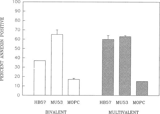 Fig. 9. The impaired capacity of high-affinity MoAb to induce apoptosis is not observed under conditions of ligand multivalency. Cells were cultured for 42 hours with bivalent forms of high-affinity MoAb HB57, intermediate-affinity MoAb Mu53, or isotype control MOPC-21 or with multivalent MoAb:dextran conjugates of MoAb HB57, MoAb Mu53, or MOPC-21 (as HB57:UPC:dextran, Mu53:UPC:dextran, and MOPC-21:UPC:dextran; see Materials and Methods) at a concentration of 10 μg/mL MoAb protein per culture (MoAb:cell ratio = 2 μg/105 cells). Apoptosis was assessed by FITC-annexin V binding as in Fig 1. The results represent the mean percentage of annexin-positive cells in two experiments ± SEM.