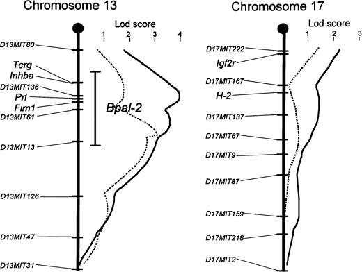 Fig. 3. MAPMAKER/QTL scans on chromosomes 13 and 17 for aberrant B-1 cell proliferation in blood of 127 to 140 (NZW x B10.NZW) F1 x B10.NZW backcross mice. Lod score curves (bold lines, 8 months of age; dotted line, 16 months of age) are shown on the right with scale on the top. Map positions of markers are arranged from centromere to telomere on the left side of the chromosome line. An “error” bar represents the one-lod support interval of Bpal-2. Candidate genes within the support interval are also listed.